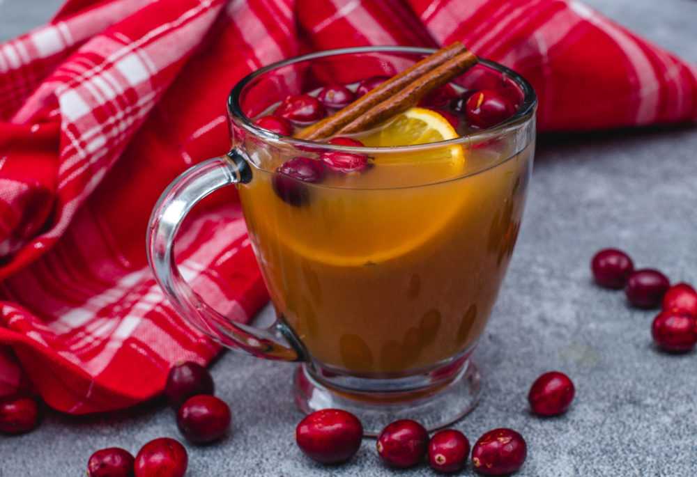 Glass filled with apple cider with lemon slice, cinnamon stick and fresh cranberries on side