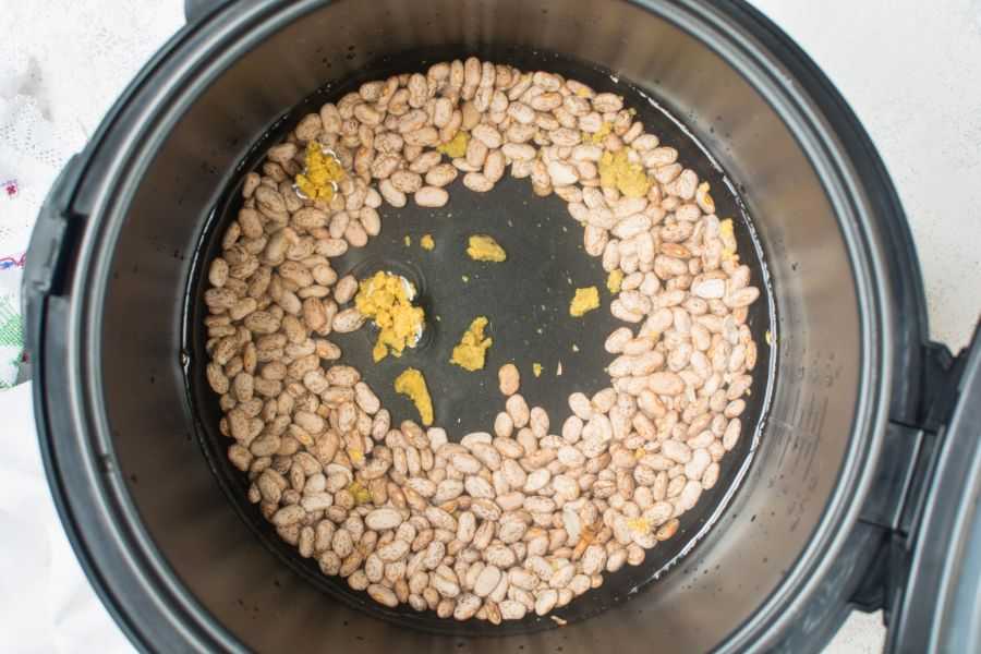 beans in instant pot pressure cooker, total time 1 hr or less without pre-soaking beans