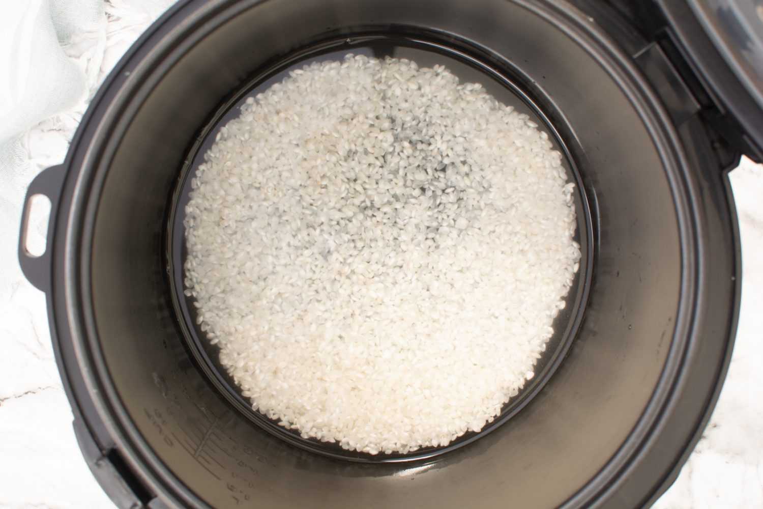 Rezepte für Instant-Pot-Reis