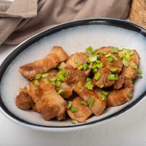 pork belly braised in caramel sauce with scallion on top