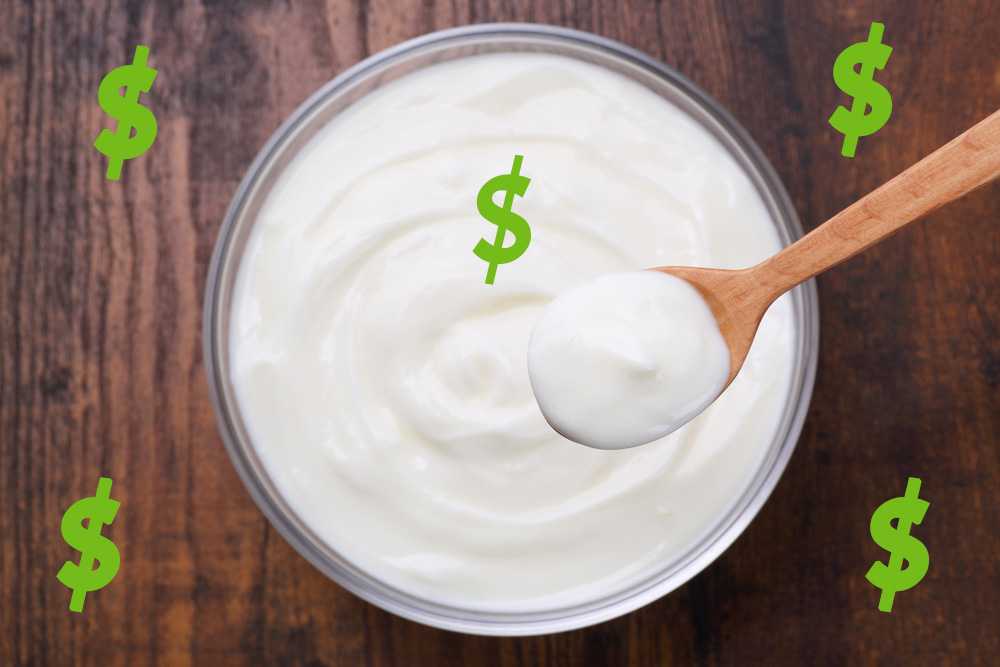 Yogurt in a bowl and on a spoon with green dollar marks