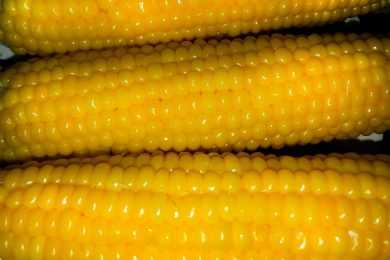 Three corn ears cooked zoom in
