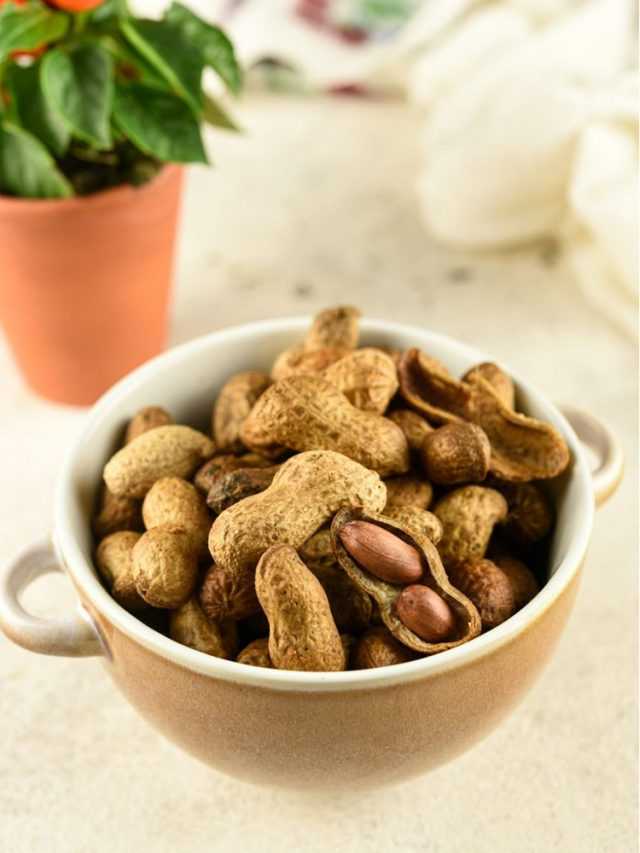 Instant Pot Easy Boiled Peanuts