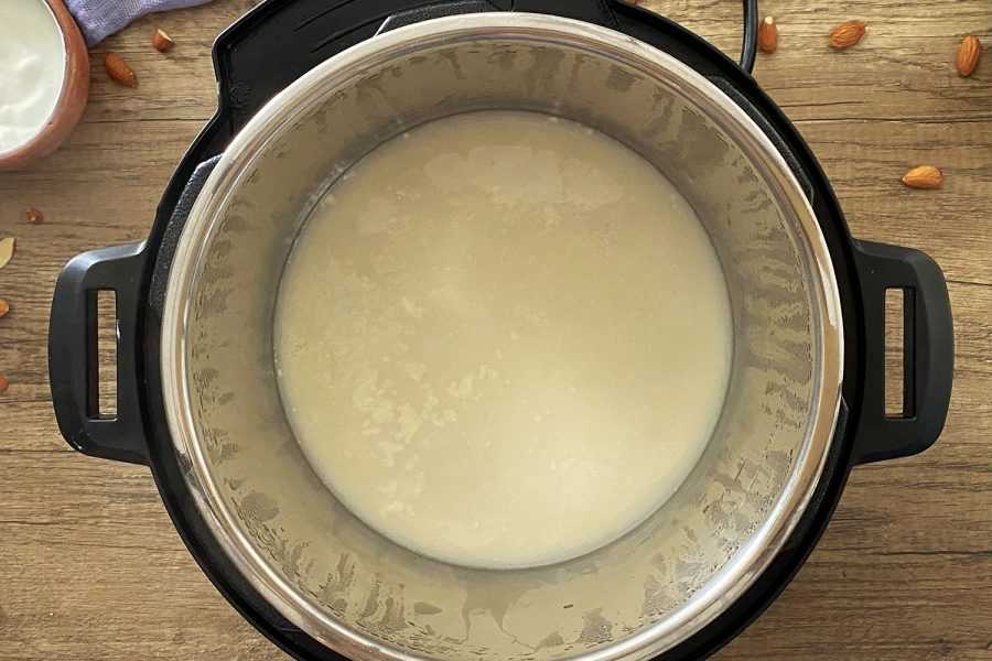 Instant Pot Almond Milk Yogurt