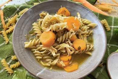 Fusilli with shredded turkey, carrot slices, celery and spices