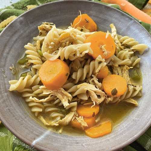 Fusilli with shredded turkey, carrot slices, celery and spices