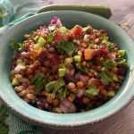 colorful salad with lentils, red onion, cucumber and scallion