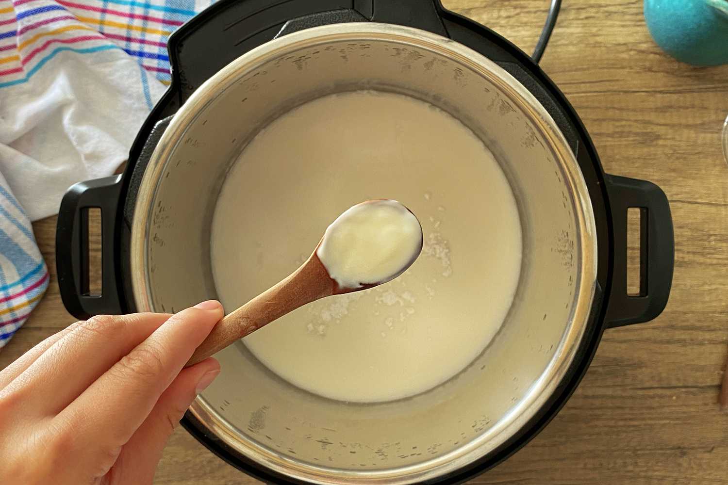 Instant Pot Coconut Milk Yogurt