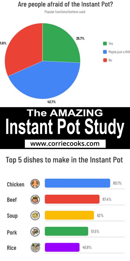 Instant Pot study Pinterest pin research