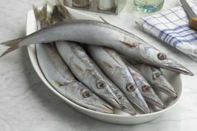 Dish with barracudas