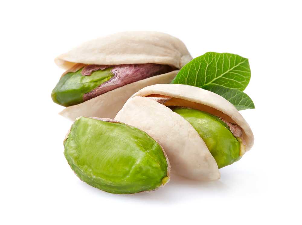 Two pistachios with leaves