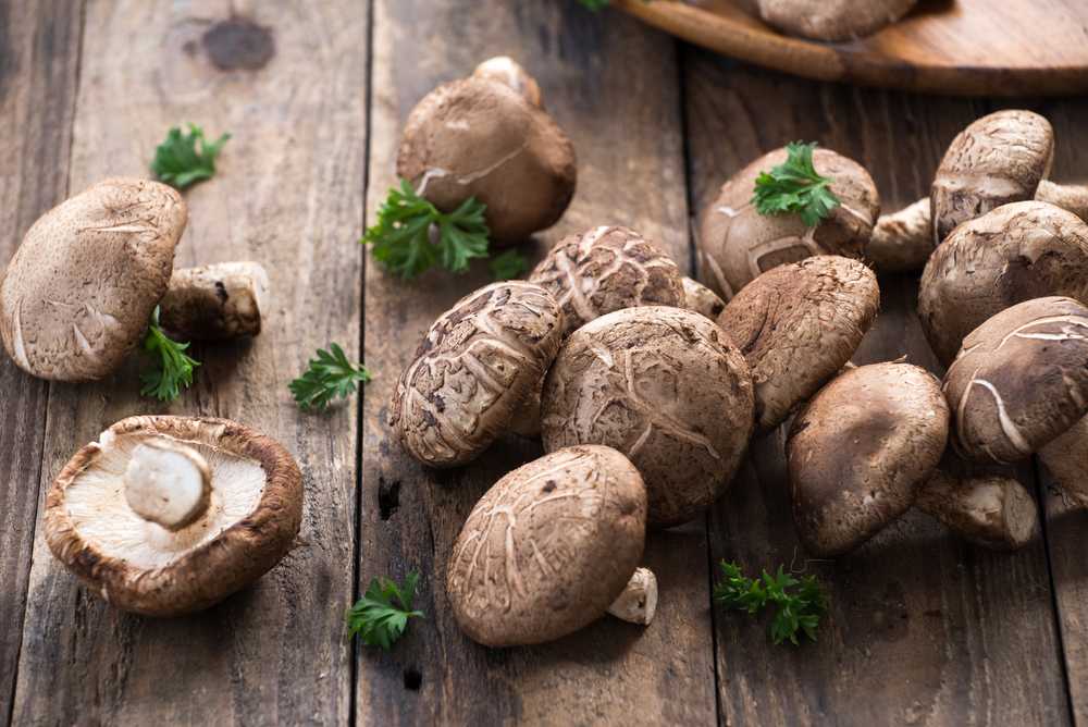 Best Shiitake Mushroom Substitutes - 10 Flavorful Choices