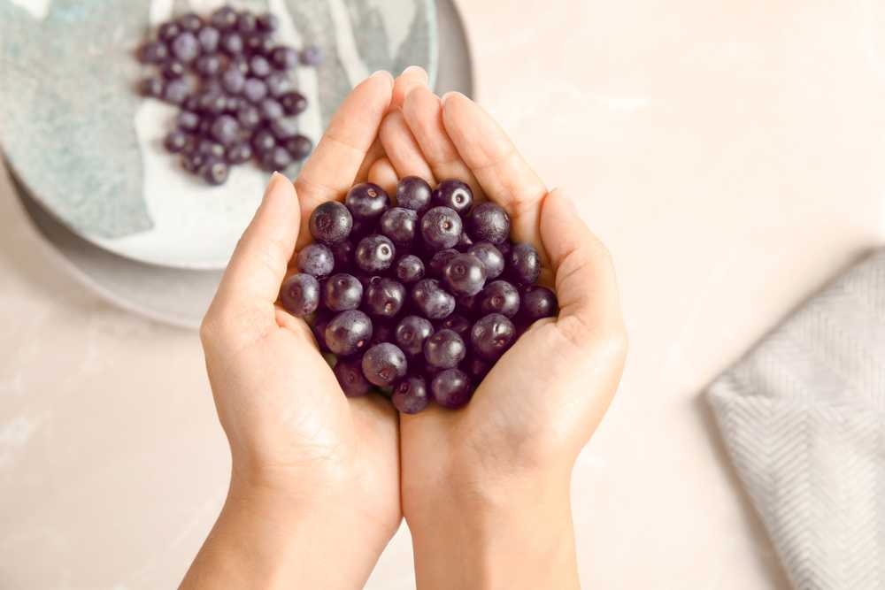 Acai berries healthy