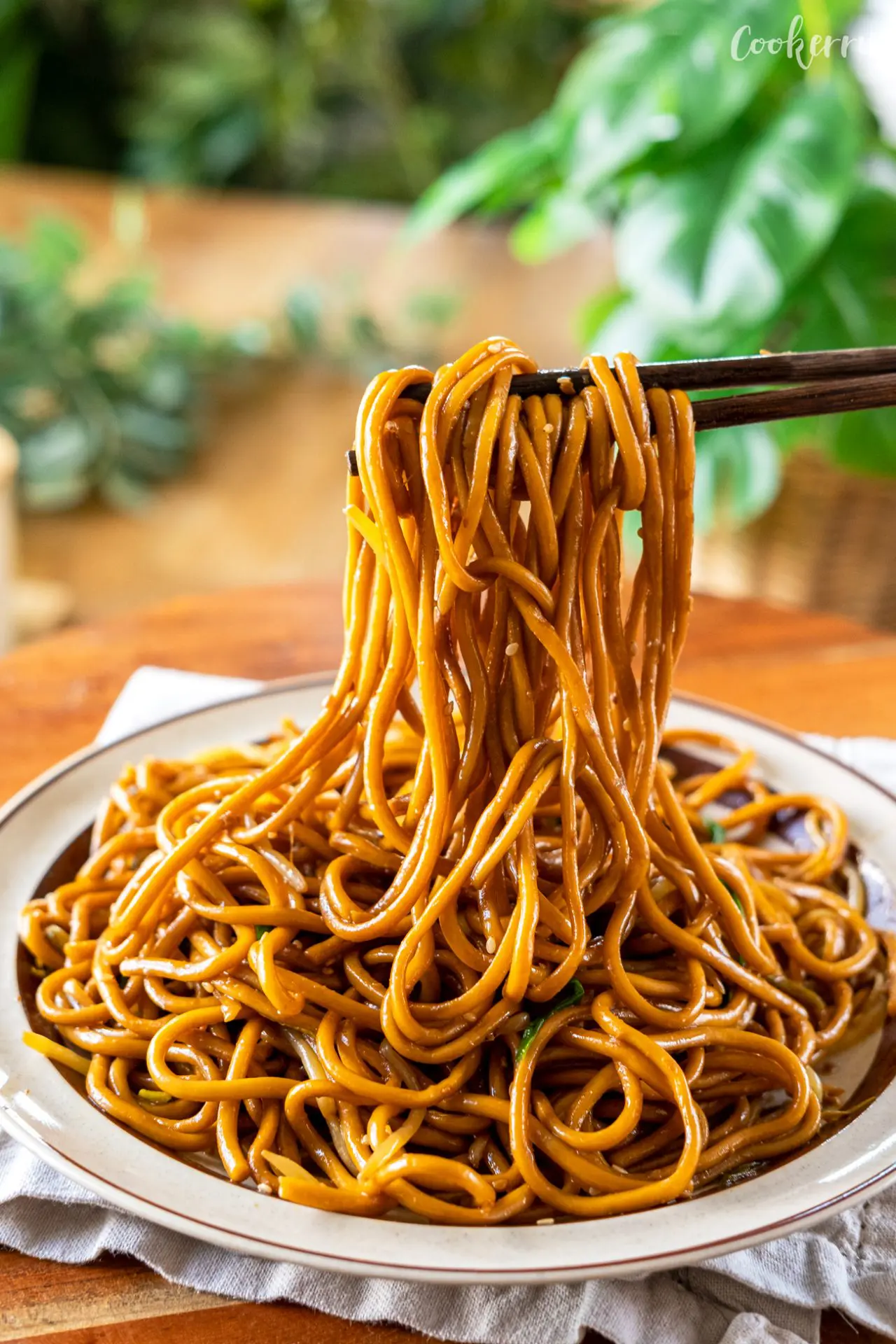 Pan-fried noodles
