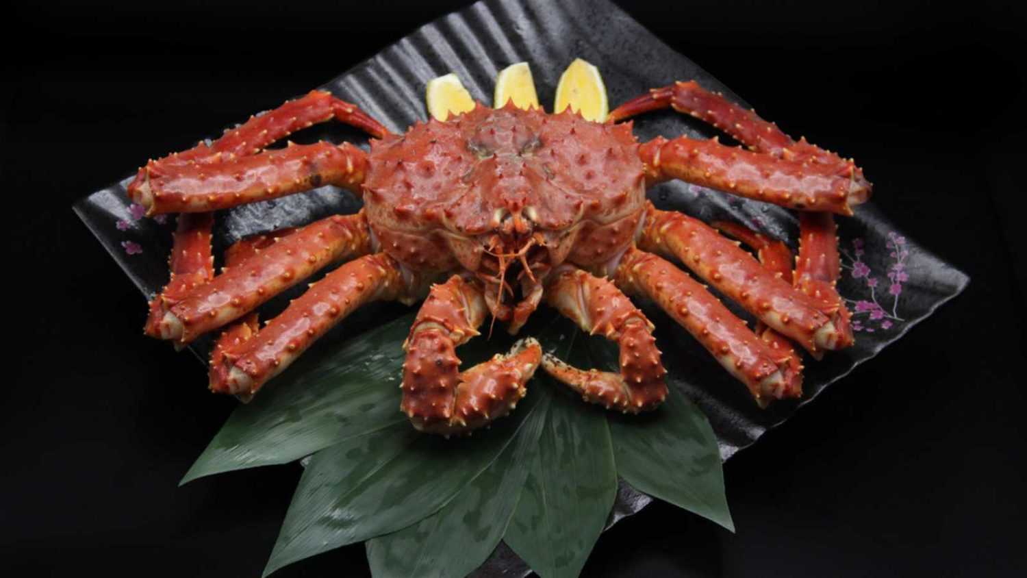 Steamed Alaskan king crab. ready to eat