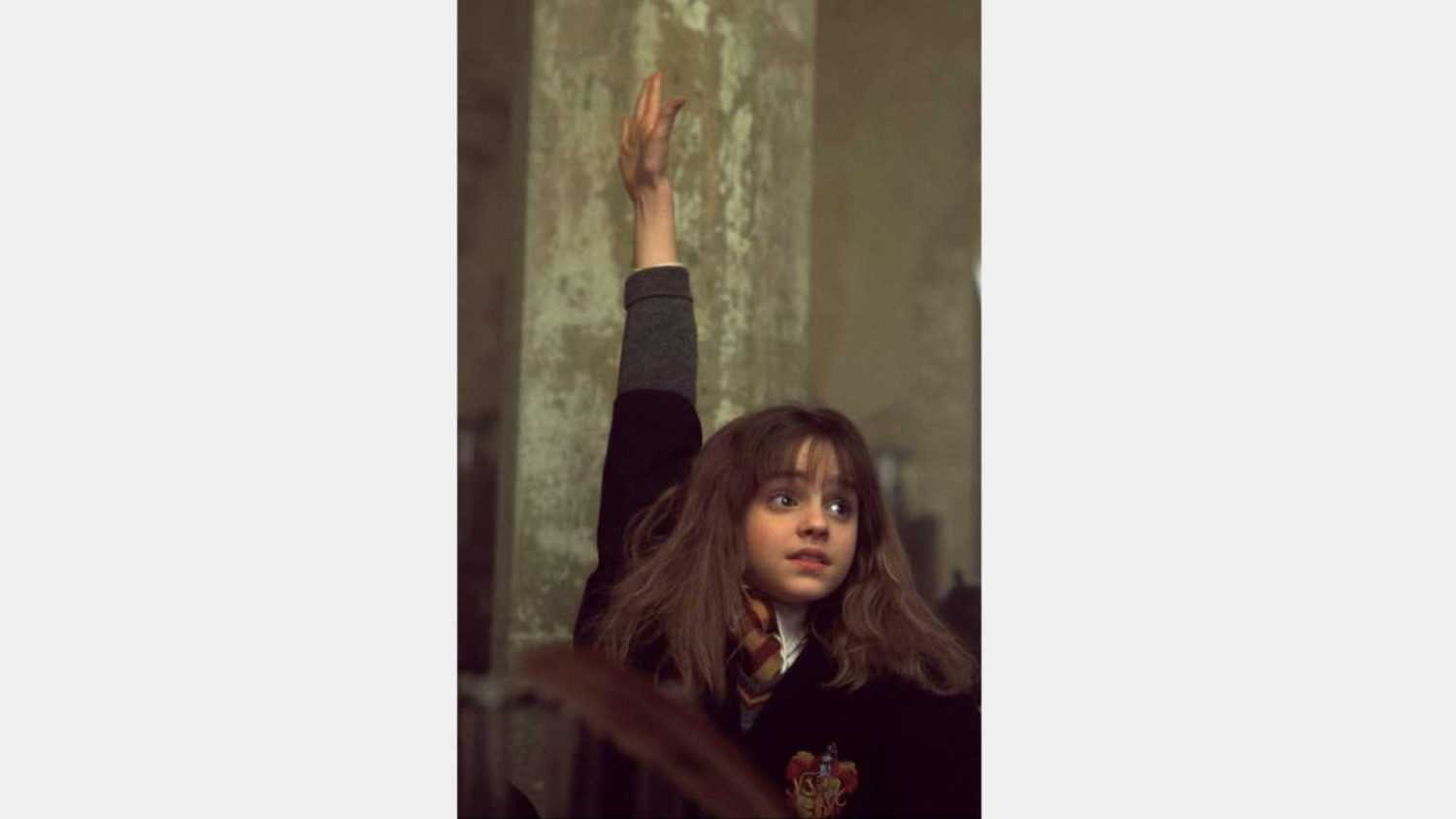 Emma Watson stars as Hermione