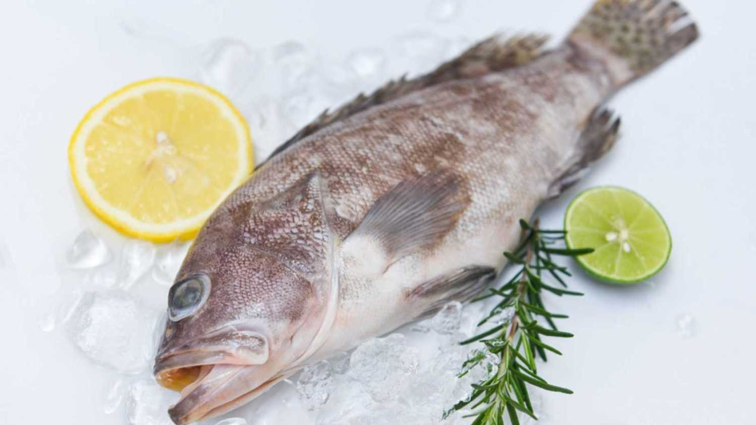 Fresh raw seafood fish for cooked food, Grouper fish on ice with rosemary lemon
