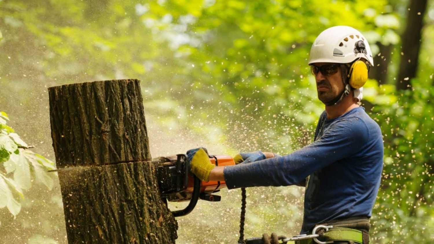 Man working hard in forest
