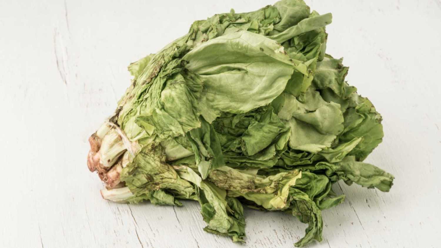 Rotten lettuce