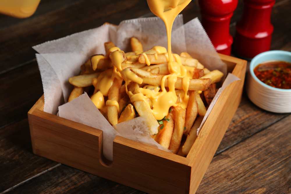 fries with cheddar