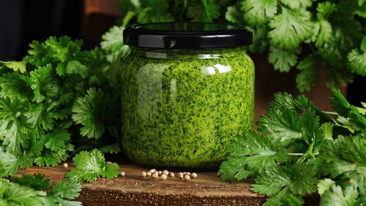 Green pesto with coriander herb on rustic wooden dark background, clloseup, copy space, italian dip food and dressing, homemade food concept