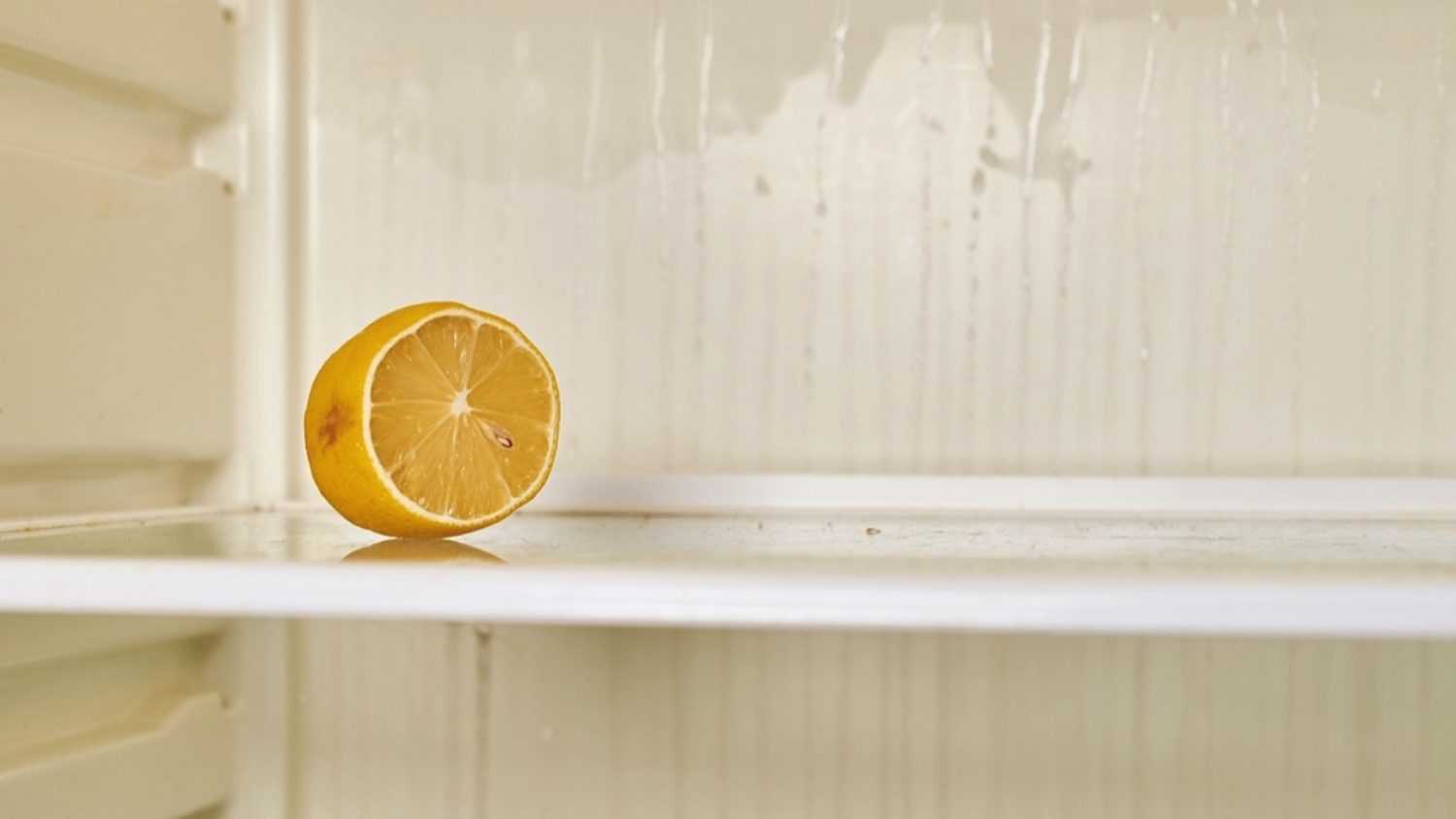 Lemon inside fridge