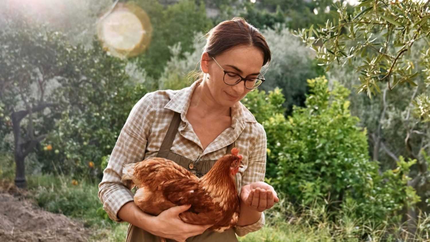 Woman feeding chicken