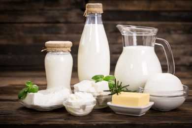 milk dairy products