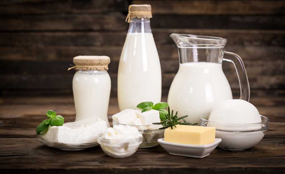 milk dairy products