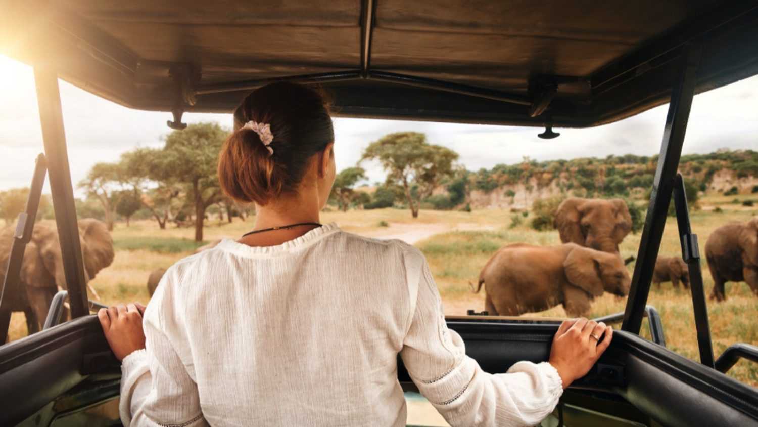 Woman tourist on a safari