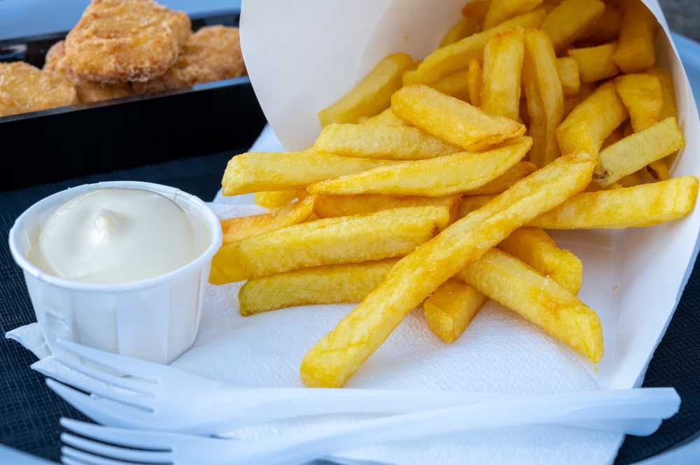 fries with mayo