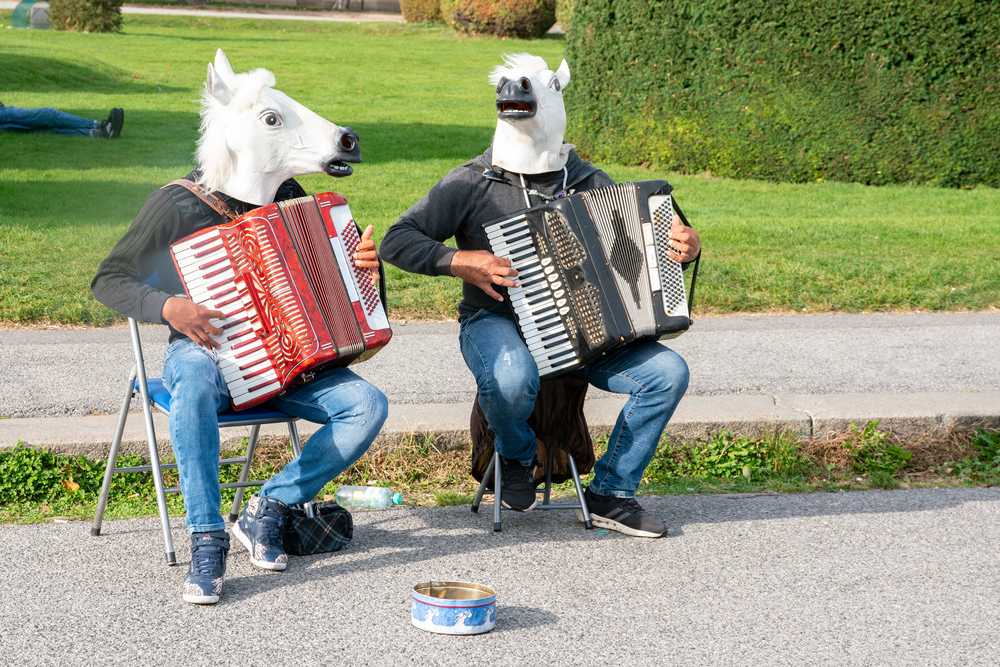 prank musicians horse